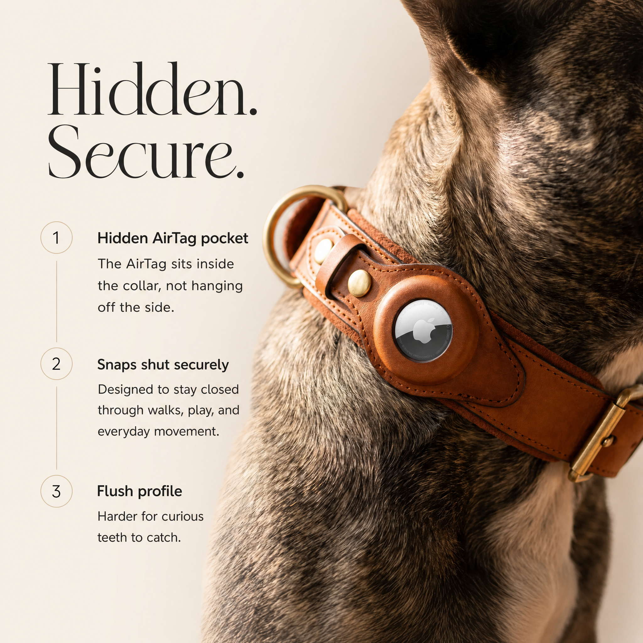 Luxury Leather Dog Collar and Leash with Airtag