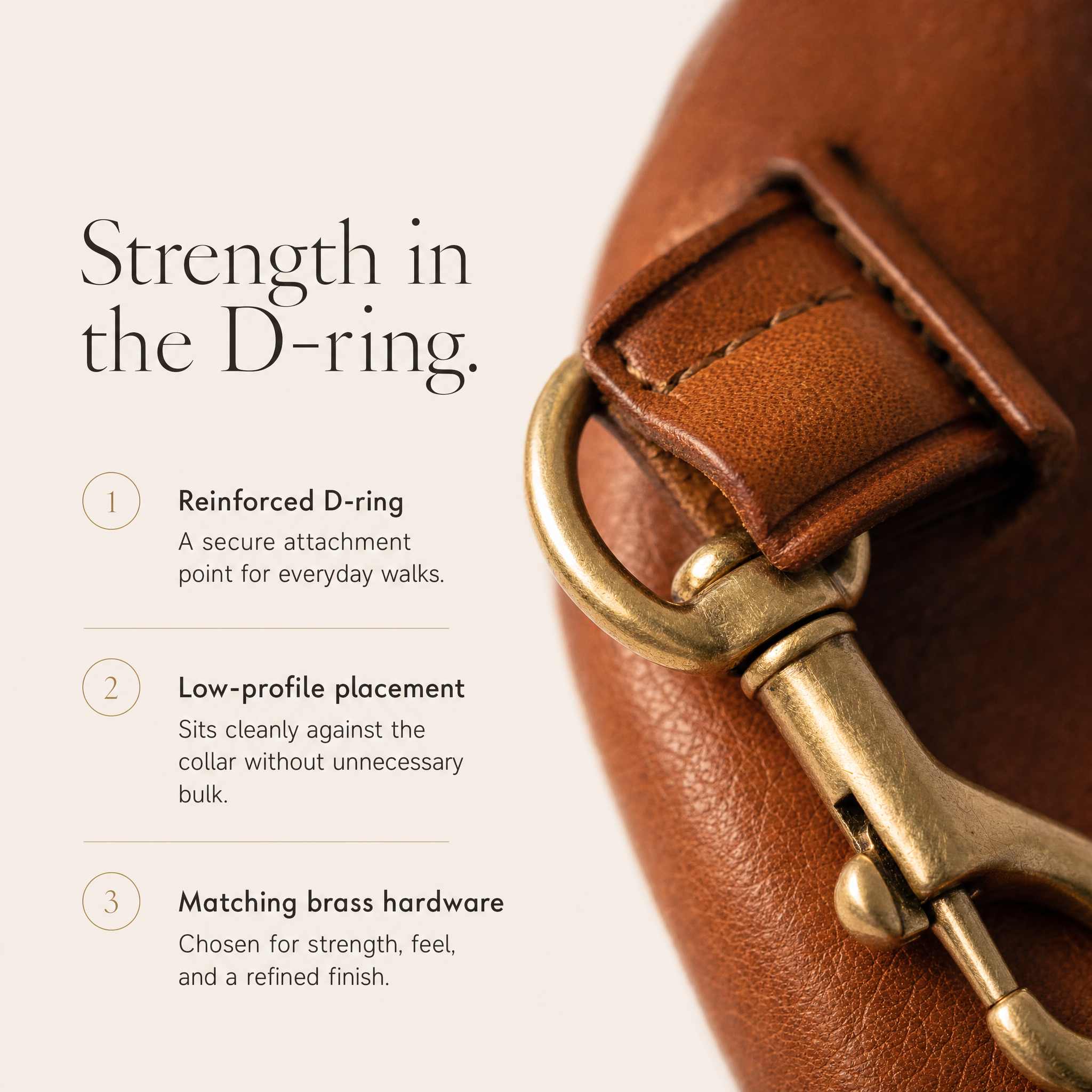 Luxury Leather Dog Collar and Leash with Airtag