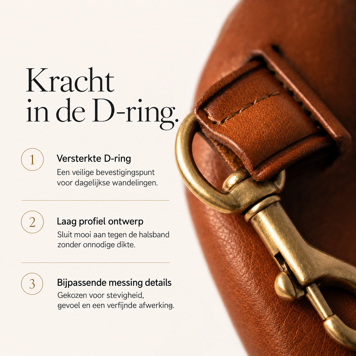Infographic over de verstevigde messing D-ring van de Fidele leren hondenhalsband voor de riem