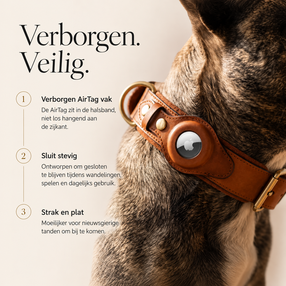 Infographic over het verborgen AirTag-vak van de Fidele hondenhalsband dat met drukknopen dichtklikt